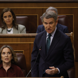 La secretaria general del PP, Cuca Gamarra y el presidente del PP, Alberto Núñez Feijóo, durante una sesión de control al Gobierno en el Congreso de los Diputados.