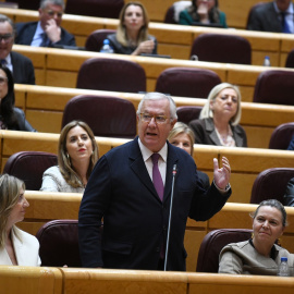 El senador del PP Francisco Javier Arenas, durante una sesión de control, en el Senado, a 25 de febrero de 2025, en Madrid.