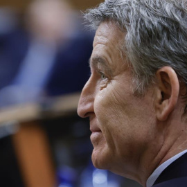 El líder del PP, Alberto Núñez Feijóo, durante la sesión de control al Ejecutivo este miércoles en el Congreso.
