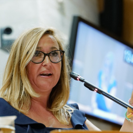 La portavoz del grupo parlamentario del PSOE de las Cortes de Aragón, Mayte Pérez, en una imagen de archivo.