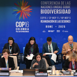 La presidenta de la COP16 de Biodiversidad y ministra de Medio Ambiente de Colombia, Susana Muhamad, durante la celebración de la cumbre, en Roma, a 15 de febrero de 2025.