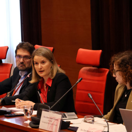 La consellera de Drets Socials, Mònica Martínez Bravo, a la comissió de Drets Socials del Parlament