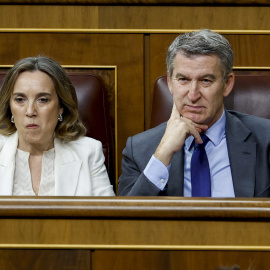 El líder popular Alberto Núñez Feijóo y la diputada Cuca Gamarra durante la sesión de control al Gobierno celebrada este miércoles en el Congreso.