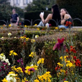 (Foto de ARCHIVO)Flores durante el primer día de primavera, a 20 de marzo de 2024, en Madrid (España). La primavera ha comenzado hoy, 20 de marzo, en el hemisferio norte y durará aproximadamente 92 días y 18 horas, terminando el 20 de junio con el comienzo del verano. Este invierno ha sido el más cálido en España desde la serie histórica y según los pronósticos de la Agencia Estatal de Meteorología (Aemet) se espera una primavera más calurosa de lo normal. El cambio de hora, el último del mes de marzo, contribuye a que los días sean más largos.Eduardo Parra / Europa Press20 MARZO 2024;PRIMAVERA;CALOR;TEMPERATURA;ESTACIÓN20/3/2024