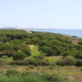 Finca de La Ricarda al delta del Llobregat