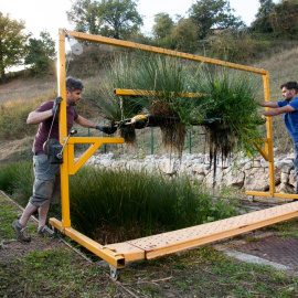 Humedal flotante de plantas autóctonas instaladas en phytobateas
