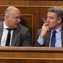 El portavoz del PP en el Congreso, Miguel Tellado (i) y el presidente del PP, Alberto Núñez Feijóo (d), en el Congreso de los Diputados, a 12 de marzo de 2025, en Madrid (España).