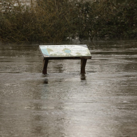 Nivel del cauce del río Manzanares, en las inmediaciones de El Pardo, este jueves.
