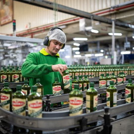 Línea de envasado del aceite Bertolli.