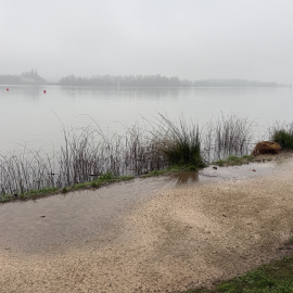 L'estany de Banyoles amb algunes basses al voltant