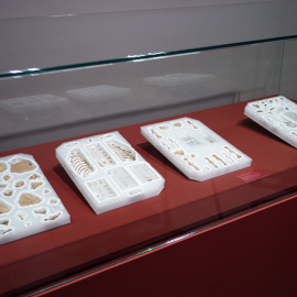 Restes dels enterraments de nadons ibers d’Ullastret al Museu d'Arqueologia de Catalunya