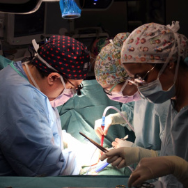 Intervenció del Servei de Cirurgia Cardíaca de l'Hospital Trueta per implantar una pròtesi valvular mitral