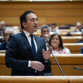 El ministro de Asuntos Exteriores, Unión Europea y Cooperación de España, José Manuel Albares, durante una sesión de control al Gobierno, en el Senado, a 25 de marzo de 2025