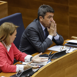 El presidente de la Generalitat Valenciana, Carlos Mazón, y la vicepresidenta y consellera de Servicios Sociales, Igualdad y Vivienda, Susana Camarero son alguno de los investigados en Les Corts.