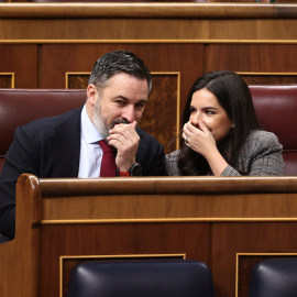 Santiago Abascal y Pepa Millán, en el Congreso de los Diputados durante la sesión plenaria del 20 de marzo.