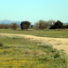 La pista d'aterratge de l'aeròdrom abandonat. Al fons, Montserrat