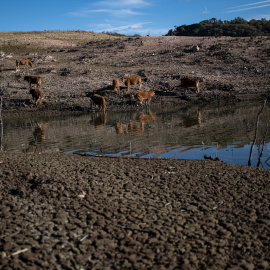 Imagen de archivo del pantano de Sau durante la sequía.