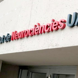L'Institut de Neurociències de la UAB