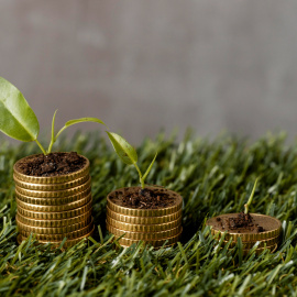 Inversión sostenible.