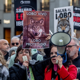 Decenas de personas durante la concentración ‘Salvar al lobo ibérico’, en la Plaza de Callao, a 5 de abril de 2025, en Madrid (España).