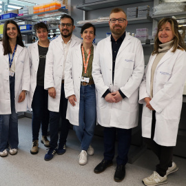 Investigadors de l’equip de la doctora Pilar Navarro i el doctor Gabriel Rabinovich, al laboratori