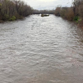 El riu Ter al seu pas per Girona, en una imatge del març.