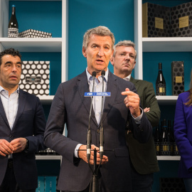 El presidente del Partido Popular, Alberto Núñez Feijóo, ofrece declaraciones a los medios en Pontevedra, a 24 de abril de 2025.