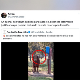 Respuestas a un tuit de la Fundación Toro de Lidia.