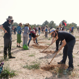 L'acció reivindicativa ha consistit en la plantació de planters de secà als terrenys on es projecta l'empresa Lotte a Mont-roig del Camp.