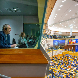 Un dels diferents intèrprets del Parlament Europeu durant una sessió del plenari a Brussel·les