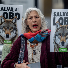 Una persona muestra un cartel durante la concentración ‘Salvar al lobo ibérico’, en la Plaza de Callao, a 5 de abril de 2025, en Madrid.