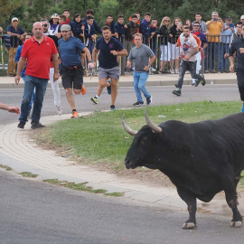 Imagen de archivo de un toro y corredores durante un encierro por las calles de Tordesillas, a 13 de septiembre de 2022, en Tordesillas, Valladolid.