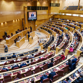 La sesión de control al Gobierno, en el Senado, a 20 de mayo de 2025, en Madrid (España).