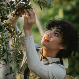 Mujer recogiendo aceitunas
