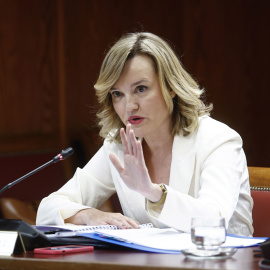 pilar alegria senado