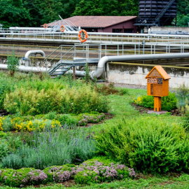 Veolia impulsa la naturalización de sus instalaciones, como en la depuradora de la Garrotxa (Cataluña)