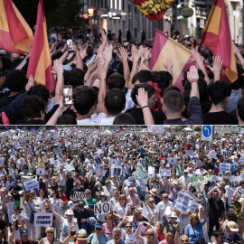 Concentración ultra y manifestación en defensa de la sanidad pública, ambas celebradas en Madrid este fin de semana.