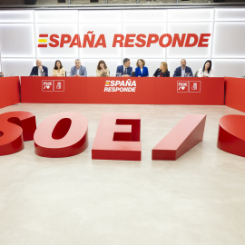 El presidente del Gobierno y secretario general del PSOE, Pedro Sánchez, preside la reunión de la Comisión Ejecutiva Federal en la sede Ferraz.