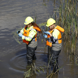 Labores de control de la mosca negra en el río Manzanares (Madrid).