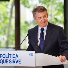 El líder del PP, Alberto Núñez Feijóo