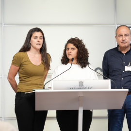 Representants d'entitats palestines i pro-palestines aquest dijous al Parlament.