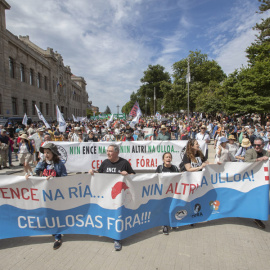Manifestación contra la fábrica de celulosa de Ence de la ría de Pontevedra y el proyecto de Altri en Palas el 1 de junio de 2025.