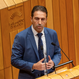 El conselleiro de Mar de la Xunta, Alfonso Villares, en el Parlamento de Galicia.