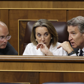 El presidente del Partido Popular, Alberto Núñez Feijóo, el portavoz parlamentario, Miguel Tellado y la diputada Cuca Gamara, en el Congreso, a 11 de junio de 2025.