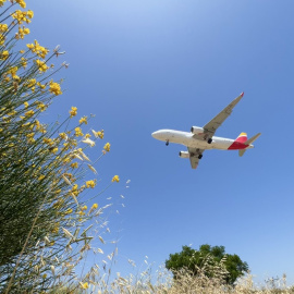 Parc agrícola del Prat de Llobregat.