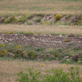 Un marge de pedra seca a la Conca de Barberà