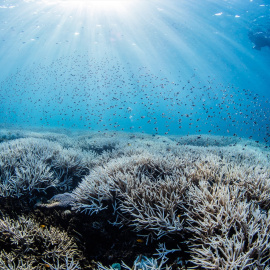 Imagen de archivo de las zonas meridionales de la Gran Barrera de Coral.