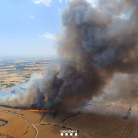 Un incendio quema campos de cultivo en Cervera (Lleida) este sábado.