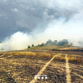 Imatge del foc de vegetació agrícola i forestal d'Oliola