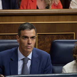 El presidente del Gobierno, Pedro Sánchez, durante una sesión de control al Gobierno.